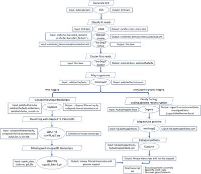 PacBio Iso-Seq Improves the Rainbow Trout Genome Annotation and Identifies Alternative Splicing Associated With Economically Important Phenotypes